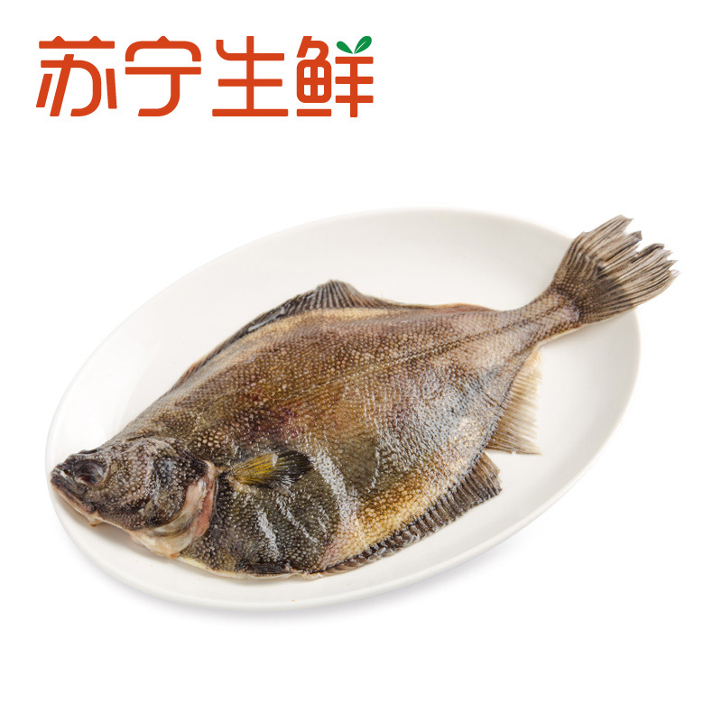 [苏宁生鲜]原膳阿拉斯加黄金鲽(整鱼)400g/条