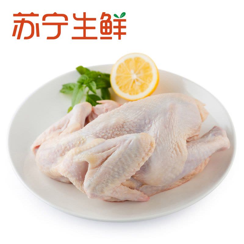 【苏宁生鲜】 裴顿童子鸡1kg 裴顿图片