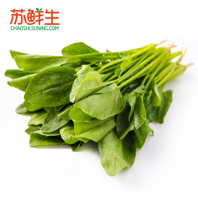 【苏宁生鲜】（新）绿菠菜220g_测试