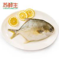 【苏宁生鲜】金鲳鱼1条380g条（测试）