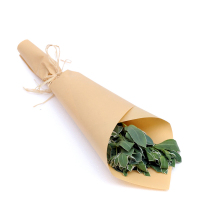 【苏宁生鲜】精选叶上白3枝 蔬菜