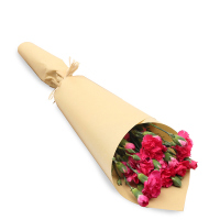 【苏宁生鲜】精选桃红色多头康乃馨6枝 蔬菜