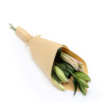 【苏宁生鲜】精选粉百合3枝 蔬菜