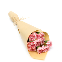 【苏宁生鲜】精选粉色多头康乃馨6枝 蔬菜