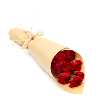 【苏宁生鲜】精选红色康乃馨10枝 蔬菜