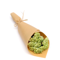 【苏宁生鲜】精选绿色康乃馨10枝 蔬菜