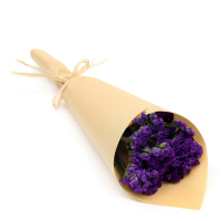 【苏宁生鲜】精选蓝紫色勿忘我3枝 蔬菜