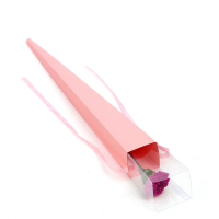 【苏宁生鲜】精选紫色康乃馨1枝 蔬菜