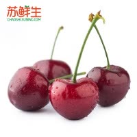 【苏宁生鲜】辽宁大连樱桃500g8-12g/个
