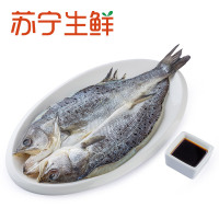 【苏宁生鲜】Joyfish清蒸海鲈鱼1条(500-600g)海鲜水产