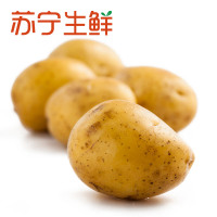[苏宁生鲜]精选迷你小土豆500g