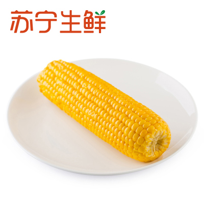 [苏宁生鲜]东北农嫂甜玉米220g