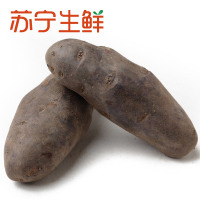 【苏宁生鲜】台州黑土豆500g 蔬菜