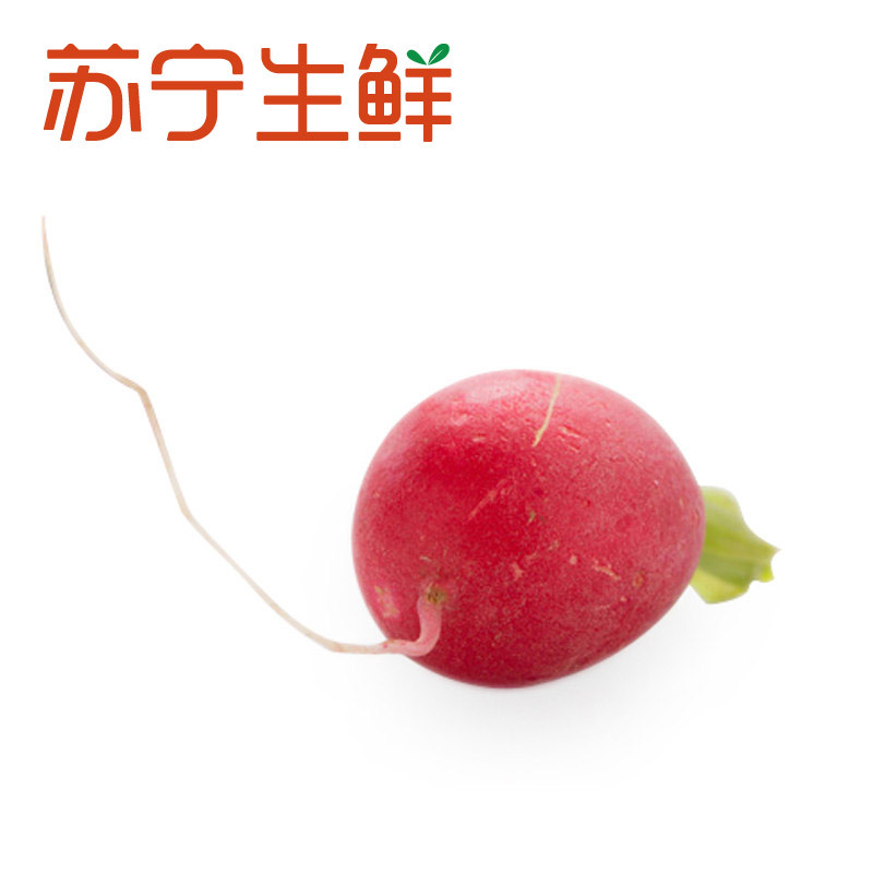 【苏宁生鲜】江苏樱桃小萝卜400g 禽蛋蔬菜