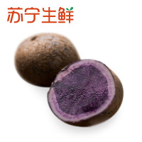 【苏宁生鲜】精选紫土豆500g 禽蛋蔬菜