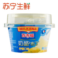 【苏宁生鲜】百吉福奶酪布丁(柠檬口味)80g 方便速食