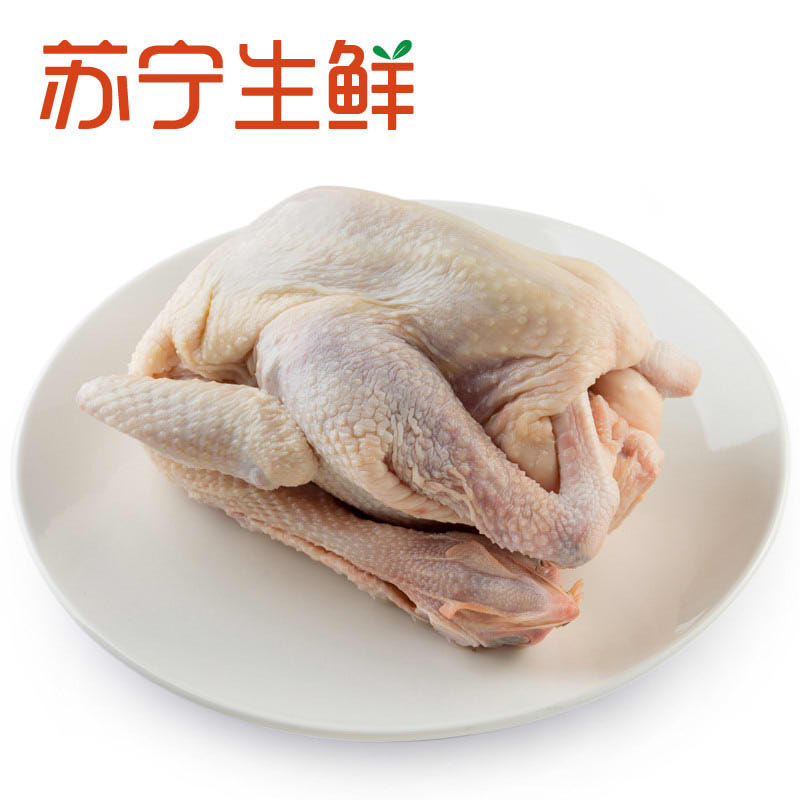 【苏宁生鲜】凤中皇清远皇后鸡900g 禽肉