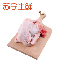 【苏宁生鲜】凤中皇清远麻公鸡900g 禽肉
