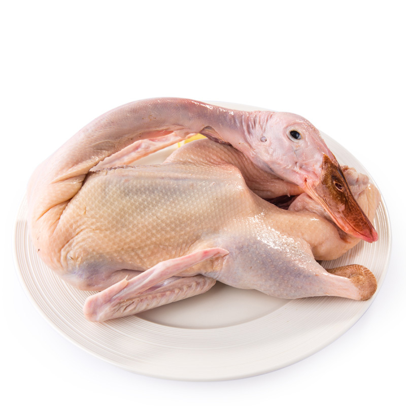 【苏宁生鲜】圣华sh老鸭(鲜品精装)900g 鸭子 安心禽蛋