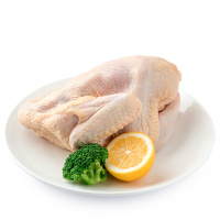 【苏宁生鲜】圣华冷鲜草童子鸡750g 安心禽蛋