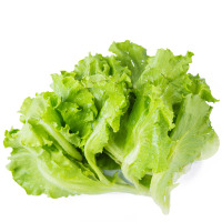 【苏宁生鲜】有机绿生菜220g 蔬菜