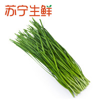 【苏宁生鲜】有机韭菜220g 禽蛋蔬菜