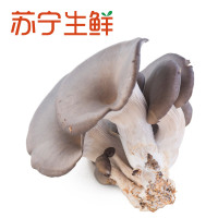 【苏宁生鲜】精选平菇250g 菌菇 禽蛋蔬菜