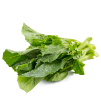 【苏宁生鲜】精选广东芥兰300g 蔬菜