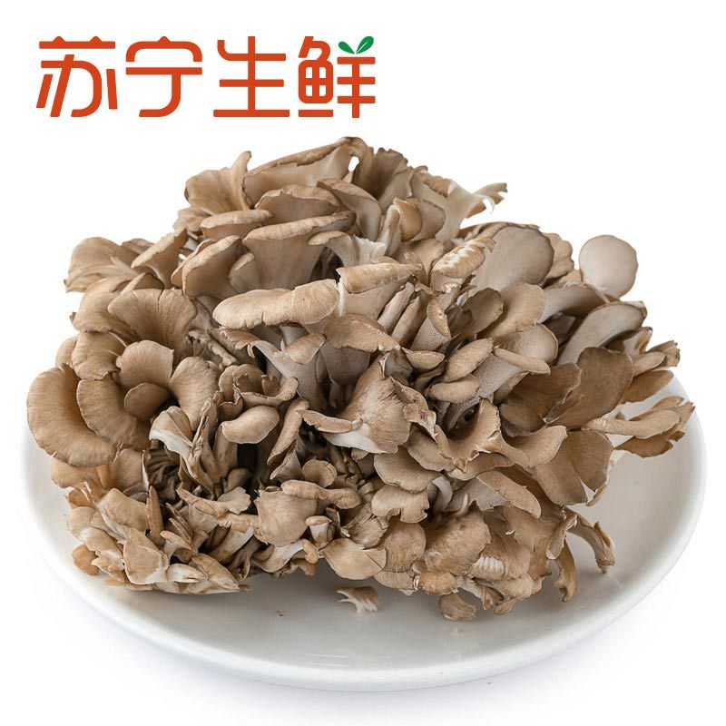 【苏宁生鲜】精选新鲜舞茸150g 菌菇 禽蛋蔬菜