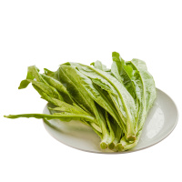 【苏宁生鲜】精选油麦菜250g 蔬菜