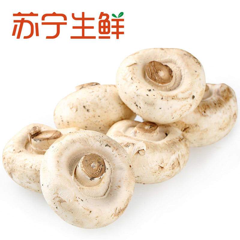 【苏宁生鲜】精选白双孢菇250g 禽蛋蔬菜