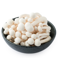 【苏宁生鲜】精选白玉菇125 g 菌菇 蔬菜