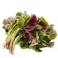 【苏宁生鲜】精选红米苋300g 蔬菜