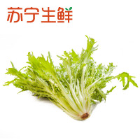 【苏宁生鲜】精选苦菊300g 禽蛋蔬菜