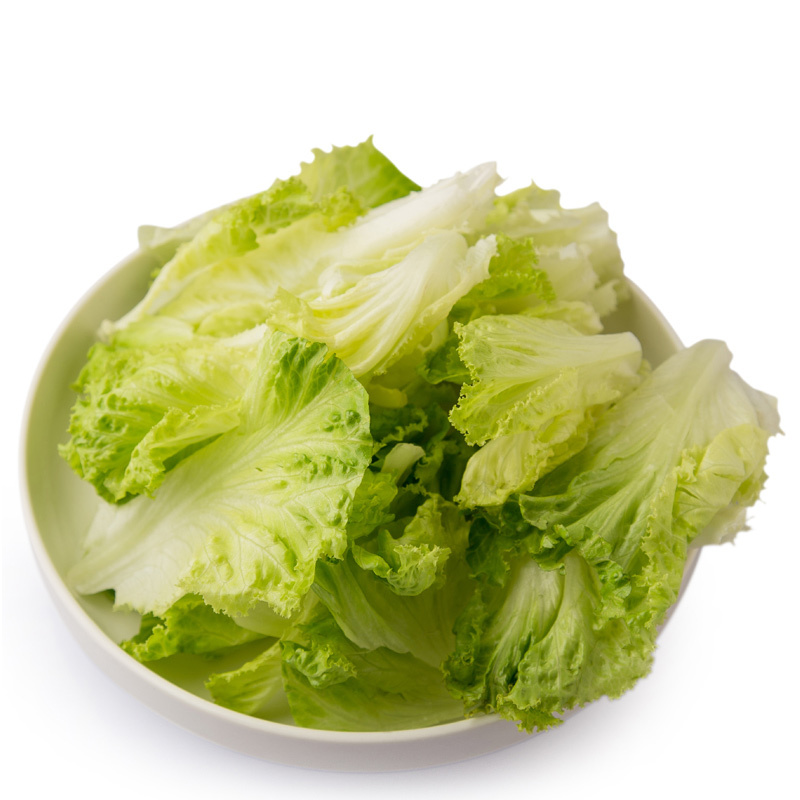 苏宁生鲜罗沙绿500g蔬菜
