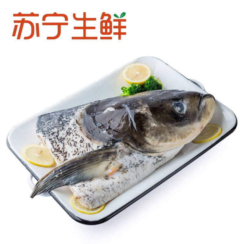 【苏宁生鲜】淳牌千岛湖鳙鱼头半只(1.5-2kg)海鲜水产图片