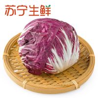 【苏宁生鲜】精选紫色结球菊苣200g 蔬菜