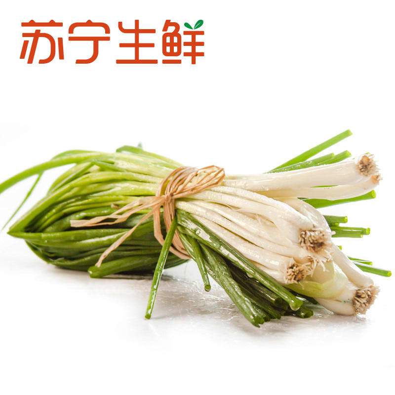 [苏宁生鲜]精选香葱100g