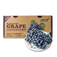 【苏宁生鲜】云南精品高原黑珍珠葡萄1盒(580g以上/盒)新鲜水果