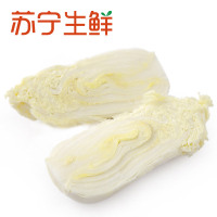 【苏宁生鲜】精选大白菜800g