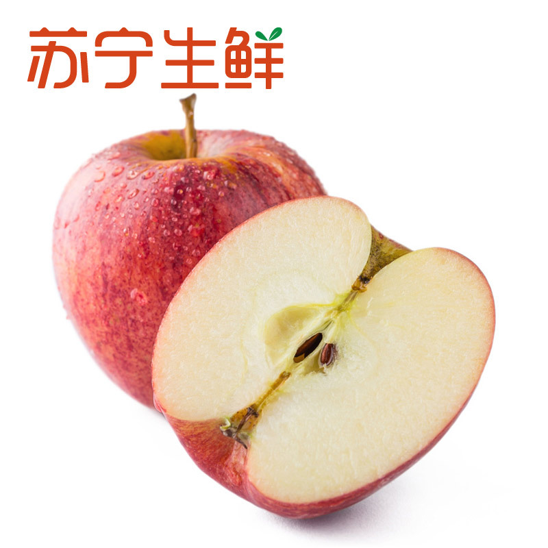 【苏宁生鲜】智利嘎啦果4个115g以上/个 苹果 新鲜水果 进口