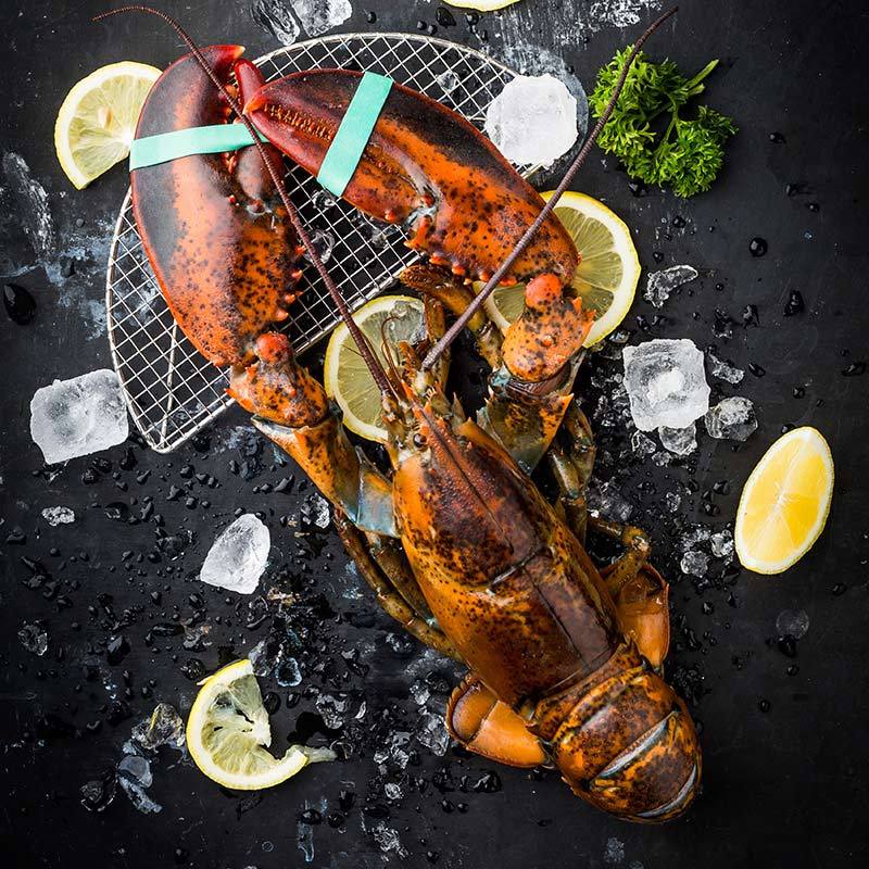 【苏宁生鲜】KING OSCAR加拿大生冻波士顿龙虾600g海鲜水产图片