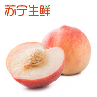 【苏宁生鲜】四川龙泉水蜜桃8个180g以上/个新 新鲜水果