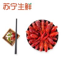 【苏宁生鲜】莱克欧式茴香小龙虾1.8kg 海鲜水产