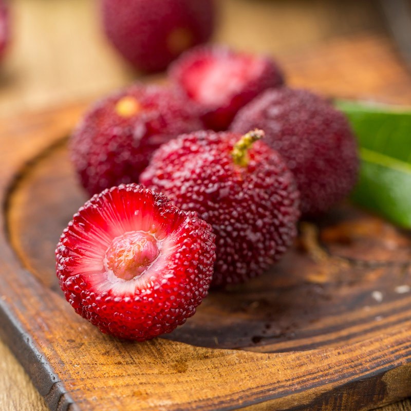 【苏宁生鲜】浙江仙居荸荠杨梅2kg新 新鲜水果