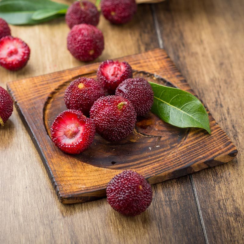 【苏宁生鲜】浙江仙居荸荠杨梅2kg新 新鲜水果报价_参数_图片_视频_怎