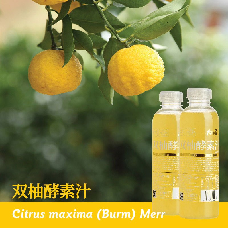 【苏宁生鲜】柚香谷双柚酵素汁500ml 方便速食