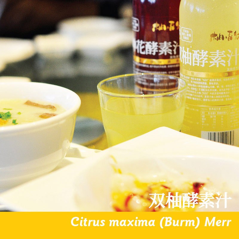 【苏宁生鲜】柚香谷双柚酵素汁500ml 方便速食