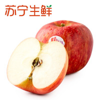 【苏宁生鲜】新西兰Diva天后苹果4个160g以上/个新鲜水果