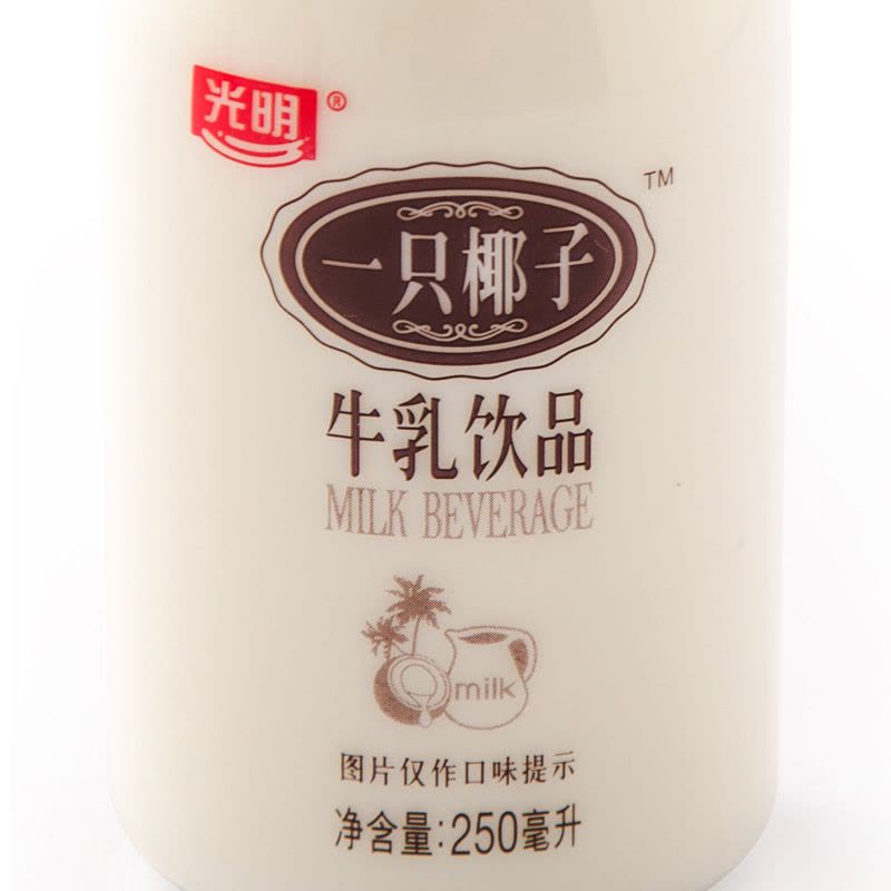 【苏宁生鲜】光明一只椰子牛乳饮品250ml 方便速食图片